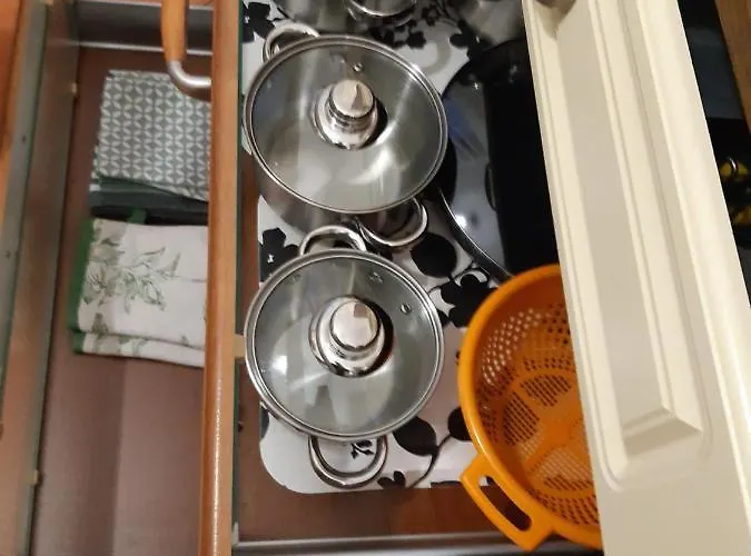 Max Okolice Energylandia Zator